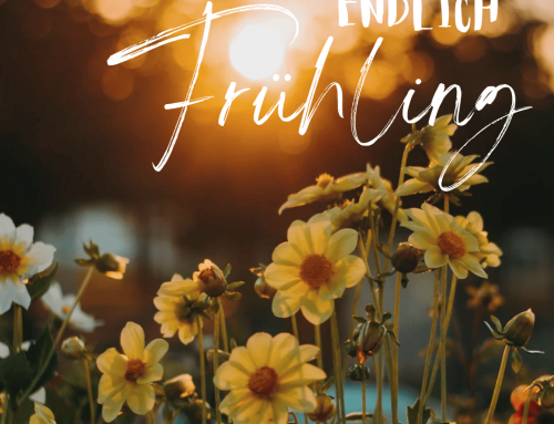 Endlich Frühling 🌷