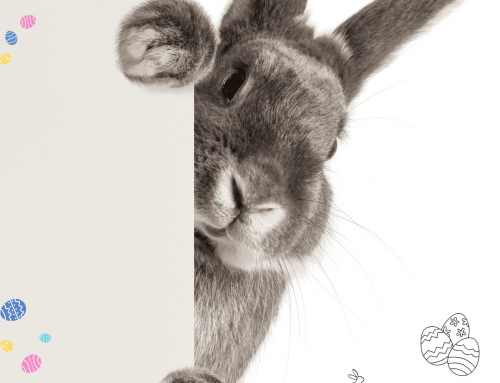 Hopp ins Osterwochenende